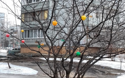 Фото дня: в Пензе на дереве появились "яблоки"