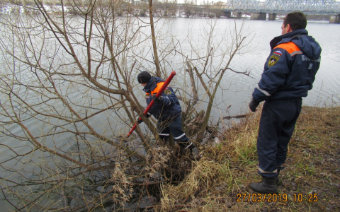 Из зарослей Суры в Пензе достали мужчину