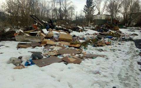 "Это сделали местные": пензенскую Манчьжурию завалили мусором