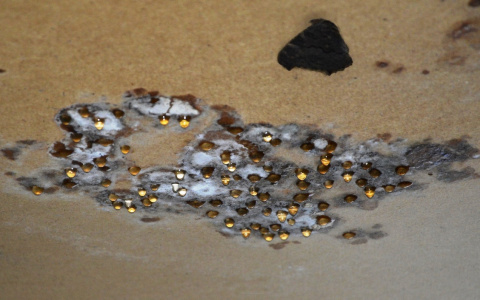 «Я всегда боялась этих бабочек»: пензячка о странностях, творившихся в ее доме