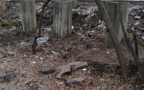 "Вырубают деревья ради супермаркетов": пензячка рассказала о стройке во дворе