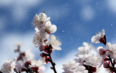 Температурный рекорд: впервые с начала года температура в Пензе поднимется до +18