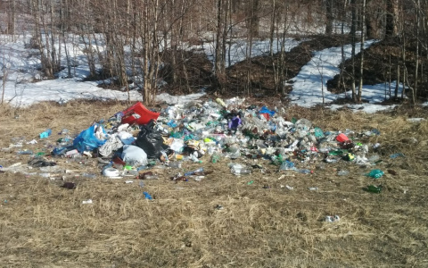 "Устрашающая свалка": в Пензе возле автодрома развели помойку