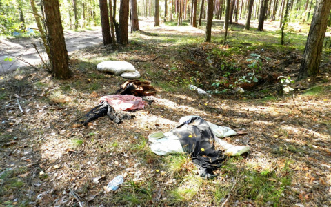 Пензенцы предупреждают: «Не ходите, европейцы, по лесам гулять» – видео