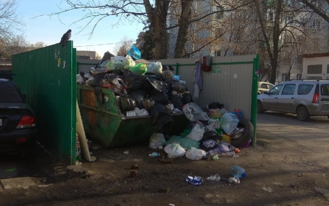 "Зарастаем мусором": жители Пензенской области жалуются на свалки во дворах
