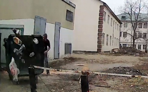 "Трехочковый!": пензенский водитель заснял вынос мусора - видео