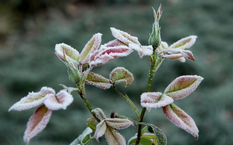 "Меняем майки на шубы": в Пензе ожидается резкий перепад температуры
