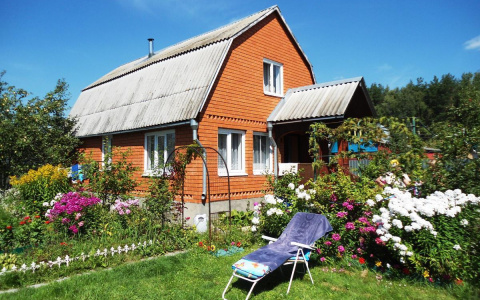 Можно строить дом или только курятник: как пензенцам не обмануться при покупке дачи?