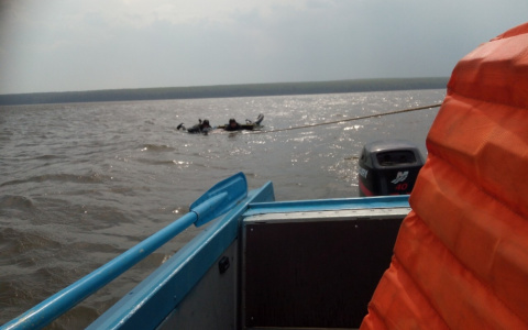 "Уносило ветром по воде": под Пензой дважды спасли кайтсерфингистов