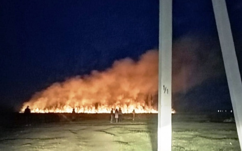 Опасный пожар полыхал ночью на полях под Пензой