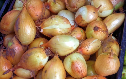 "Просто кошмар": жители Пензы в ужасе от стоимости на лук-севок