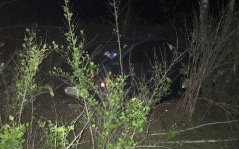 Пензенец погиб после столкновения с лосем в Рязанской области