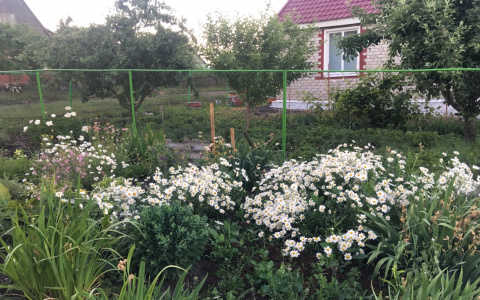 Вымрут села и деревни: пензенцам рассказали о новом налоге