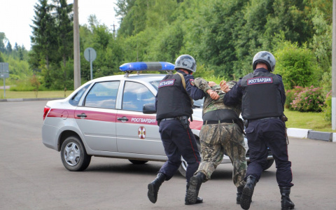 Ради дружбы хоть в тюрьму: В Пензенской области мужчину поймали по дороге к подруге