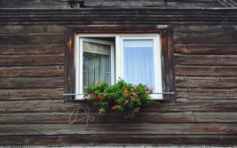 "Безопасность превыше всего": как пензенцам защитить свое чадо от падений из окна?