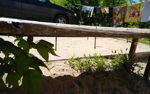 «Посадить их на гвозди»: жители Пензенской области возмущены местными хулиганами