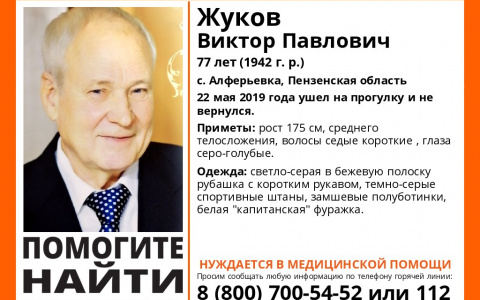 В Пензенской области ищут 77-летнего дедушку