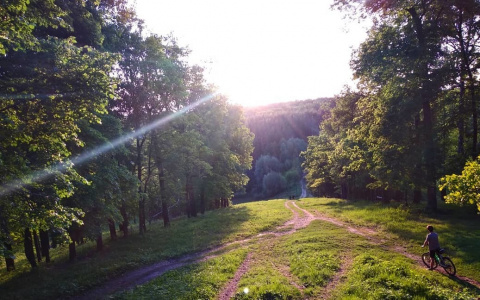 Фотоподборка: красоты Пензенского края