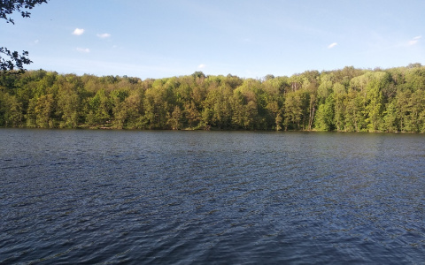 Толстолобики и белые амуры: пензенское озеро стало "богаче"