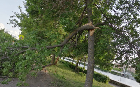 "Дышим пылью": пензячке надоел транспорт на обочине