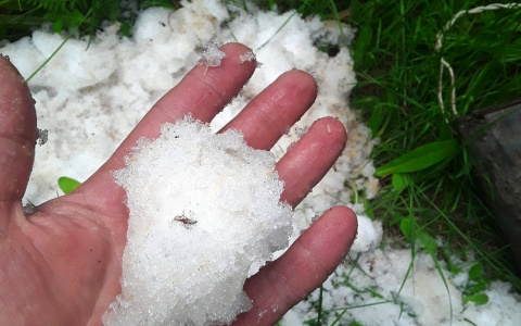 Житель Пензенской области к удивлению горожан нашел в лесу ведро со снегом