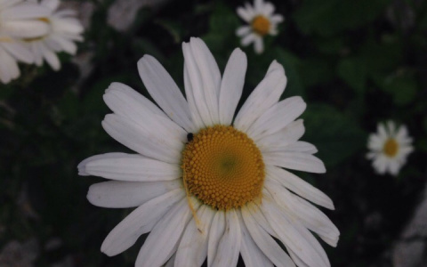 В Пензенской области наконец-то спадет жара