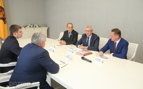 В Пензе для уборки дорог закупят пылесосы?