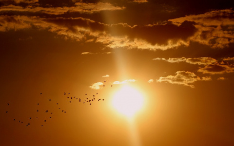 Солнце выходит на охоту в Пензе: берегитесь жары