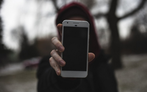 «Советник юстиции» обманул пензенца на полтора миллиона рублей, пообещав  полмиллиона