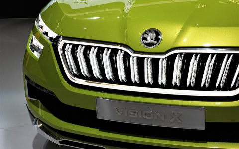Вся семья в сборе: марка ŠKODA открывает новые возможности для семейного тест-драйва