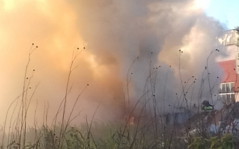 "Мощный пожар": в Кривозерье горит мусор