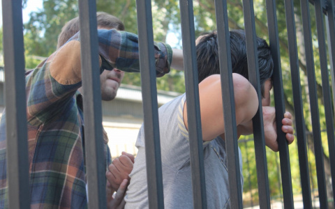 "Бардак! Нам страшно! Разберитесь": жители пишут Ивану Белозерцеву о конфликтах в Чемодановке