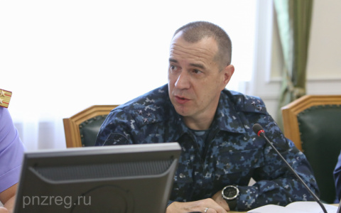 В Пензенской области установлено 12 участников страшной драки в Чемодановке