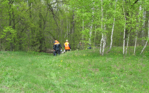 В Пензе сезон открыт: две женщины и ребенок заблудились при сборе грибов
