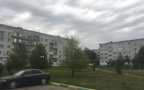 Роскомнадзор удалил ложные сведения о конфликте в Чемодановке Пензенской области