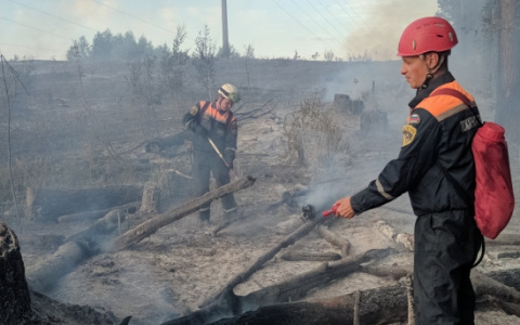 В Пензенской области пожарные два дня борются с огнем в лесу