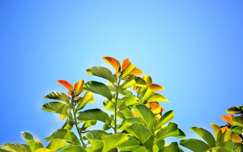 В Пензе будет жарко