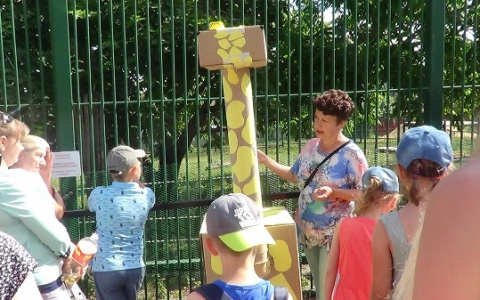 В Пензенском зоопарке львов накормили жирафом