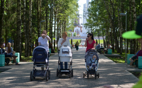 Заберут последний полтинник: в России хотят отменить детские пособия