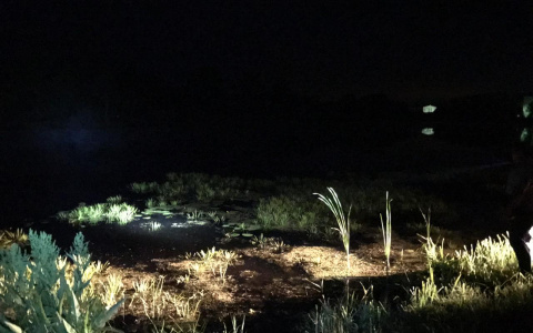 В Пензенской области утонул 33-летний мужчина