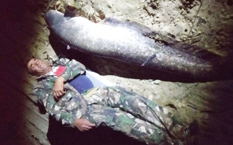 В Пензенской области мужчина поймал гигантскую рыбу