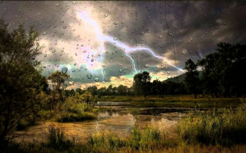 Дождь с грозой – что ждет горожан в начале нового месяца?