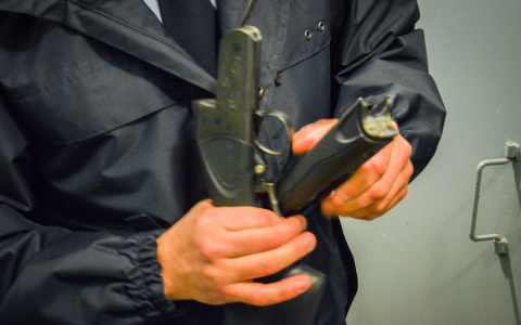 Защищая любимого, пензячка расцарапала ухо росгвардейцу