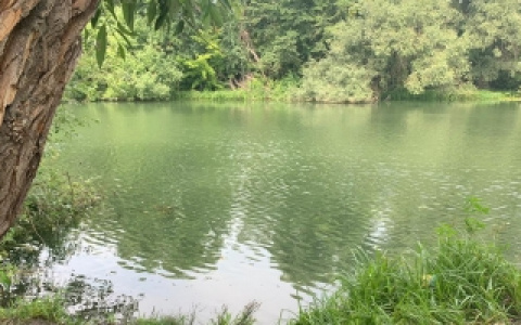 "А на берегу пакет с рыбой и снасти" : В Пензе прохожий увидел плавающий в реке труп