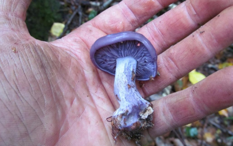 «Я очнулся бритый и мокрый»: пензенец поделился удивительной историей