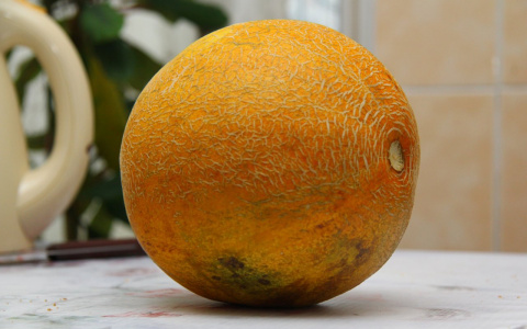 Нельзя ни с алкоголем, ни с водой: пензенцам рассказали, как правильно есть дыню