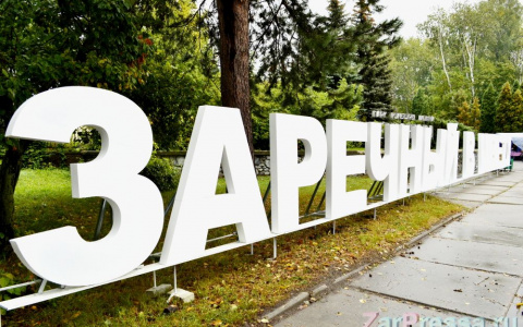 Семеро узбеков на "немце" пытались проехать в Заречный