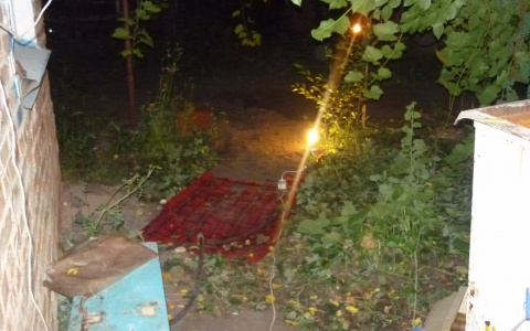 Ярославец жестоко расправился с пенсионеркой из Пензы