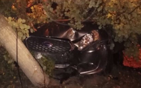 В Пензе автомобиль такси жестко влетел в дерево