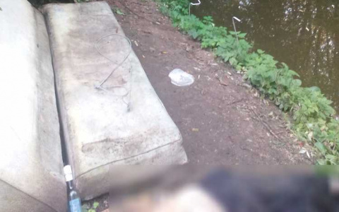 Появились подробности обнаружения трупа в Чемодановке